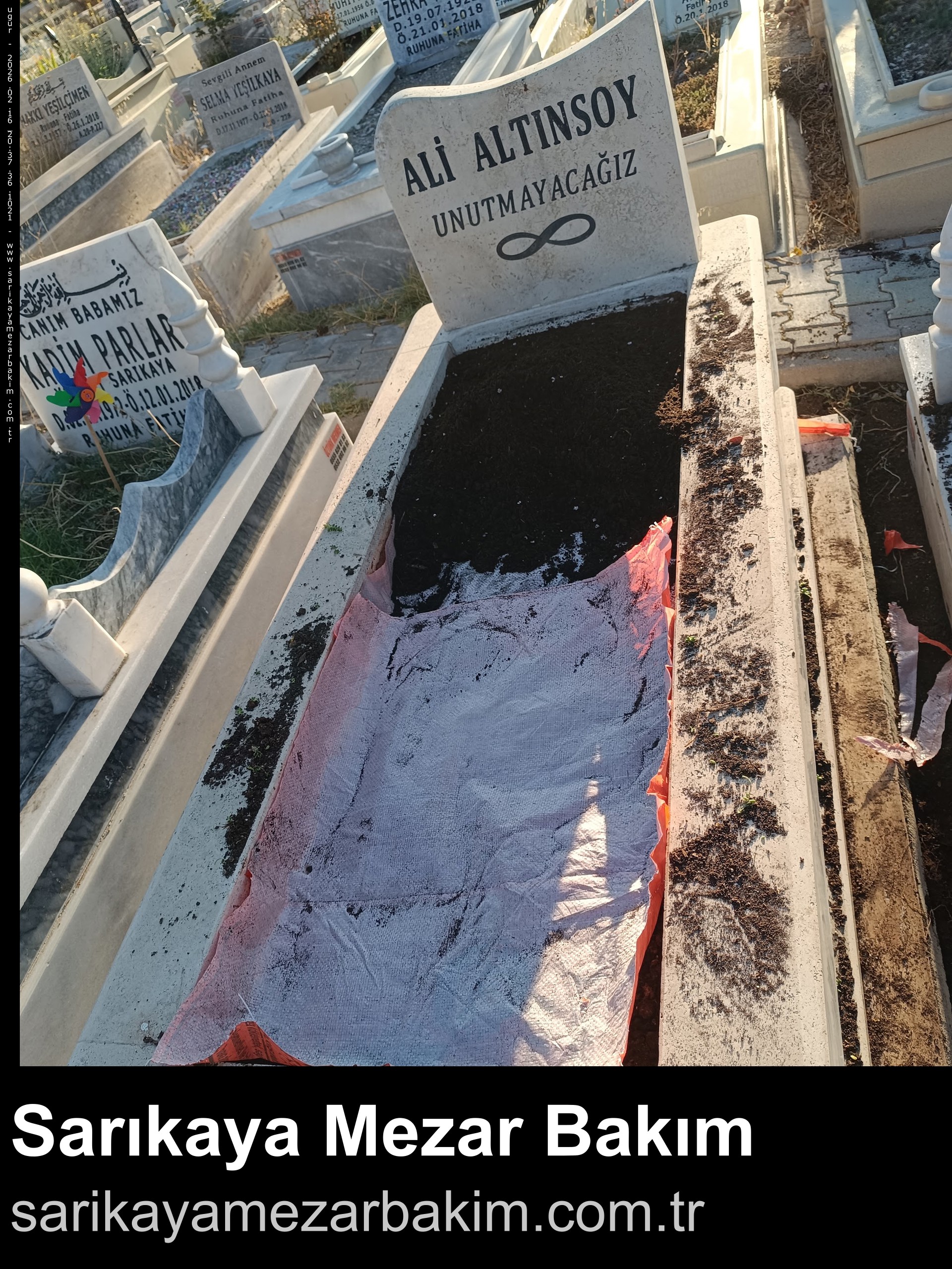 Tek Seferlik Çiçeklendirme - Önce